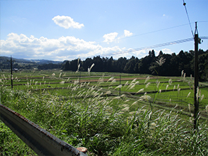 田園風景-谷口1